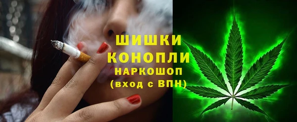 Альфа ПВП Белокуриха