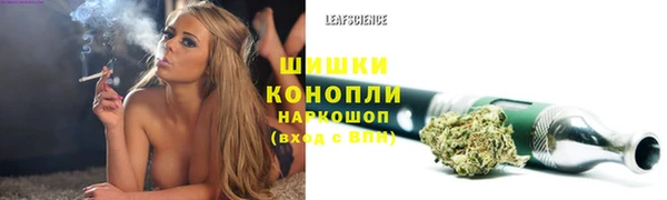 Альфа ПВП Белокуриха